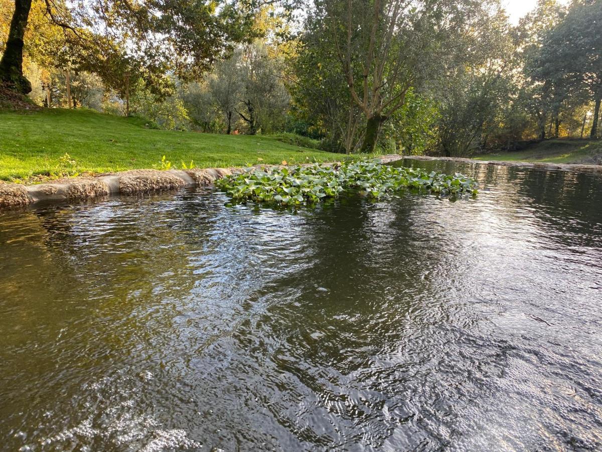 Готель Quinta Geres Терраш-де-Бору Екстер'єр фото