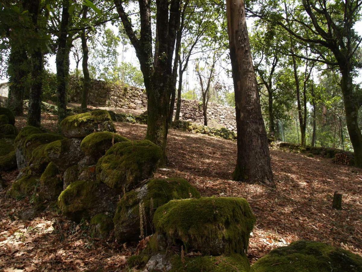 Готель Quinta Geres Терраш-де-Бору Екстер'єр фото